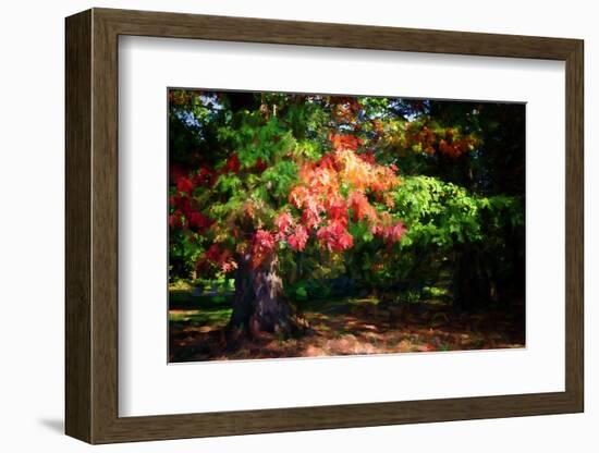 Fall Is On Our Doorstep.-Philippe Sainte-Laudy-Framed Photographic Print