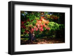 Fall Is On Our Doorstep.-Philippe Sainte-Laudy-Framed Photographic Print