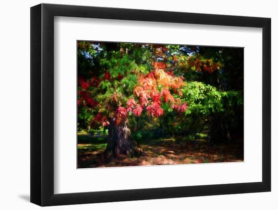 Fall Is On Our Doorstep.-Philippe Sainte-Laudy-Framed Photographic Print