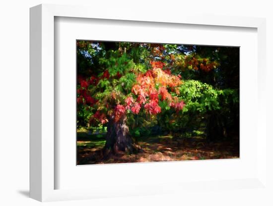 Fall Is On Our Doorstep.-Philippe Sainte-Laudy-Framed Photographic Print