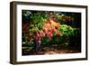 Fall Is On Our Doorstep.-Philippe Sainte-Laudy-Framed Photographic Print