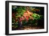 Fall Is On Our Doorstep.-Philippe Sainte-Laudy-Framed Photographic Print