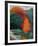 Fall Landscape-Robert Buffolini-Framed Collectable Print