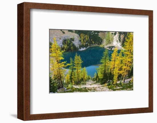 Fall larch trees and hikers on trail above Lake Agness, Banff National Park, Alberta, Canada-Russ Bishop-Framed Photographic Print