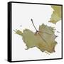 Fall Leaf 2-Karen Williams-Framed Stretched Canvas