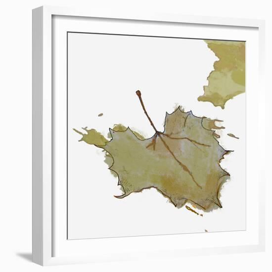 Fall Leaf 2-Karen Williams-Framed Giclee Print