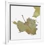 Fall Leaf 2-Karen Williams-Framed Giclee Print