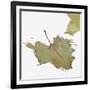 Fall Leaf 2-Karen Williams-Framed Giclee Print