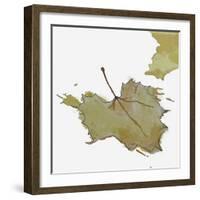 Fall Leaf 2-Karen Williams-Framed Giclee Print