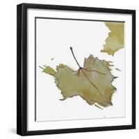 Fall Leaf 2-Karen Williams-Framed Giclee Print