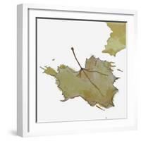 Fall Leaf 2-Karen Williams-Framed Giclee Print