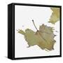 Fall Leaf 2-Karen Williams-Framed Stretched Canvas