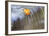 Fall Leaf on Top of a Waterfall-Craig Tuttle-Framed Photographic Print