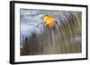 Fall Leaf on Top of a Waterfall-Craig Tuttle-Framed Photographic Print