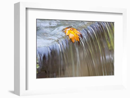 Fall Leaf on Top of a Waterfall-Craig Tuttle-Framed Photographic Print