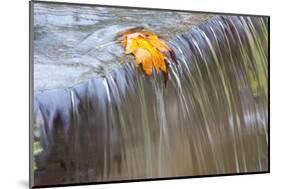 Fall Leaf on Top of a Waterfall-Craig Tuttle-Mounted Photographic Print