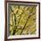 Fall Leaves 003-Tom Quartermaine-Framed Giclee Print