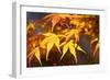 Fall Leaves 007-Tom Quartermaine-Framed Giclee Print