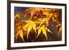 Fall Leaves 007-Tom Quartermaine-Framed Giclee Print