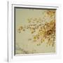 Fall Leaves 009-Tom Quartermaine-Framed Giclee Print