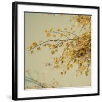 Fall Leaves 009-Tom Quartermaine-Framed Giclee Print