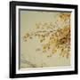 Fall Leaves 009-Tom Quartermaine-Framed Giclee Print