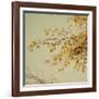 Fall Leaves 009-Tom Quartermaine-Framed Giclee Print