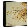 Fall Leaves 009-Tom Quartermaine-Framed Stretched Canvas