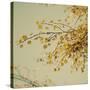 Fall Leaves 009-Tom Quartermaine-Stretched Canvas