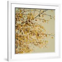 Fall Leaves 010-Tom Quartermaine-Framed Giclee Print