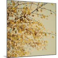 Fall Leaves 010-Tom Quartermaine-Mounted Giclee Print