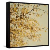 Fall Leaves 010-Tom Quartermaine-Framed Stretched Canvas