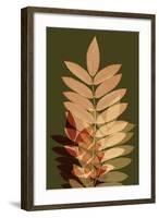 Fall Leaves 2-Ian Winstanley-Framed Art Print