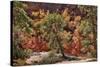 Fall Leaves 5-Lee Peterson-Stretched Canvas