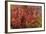 Fall Leaves 6-Lee Peterson-Framed Photographic Print