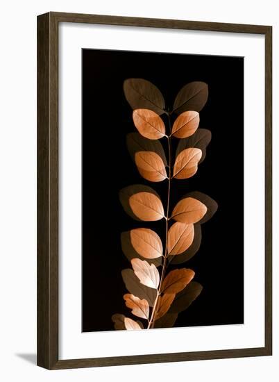 Fall Leaves 7-Ian Winstanley-Framed Art Print