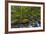 Fall Leaves Along Gorton Creek in the Columbia Gorge, Oregon-Chuck Haney-Framed Photographic Print