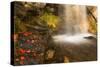 Fall Leaves At The Bottom Of A Waterfall In The Foothills Of The Wasatch Mountains, Utah-Austin Cronnelly-Stretched Canvas