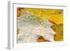 Fall Leaves Covered in Water Droplets-Craig Tuttle-Framed Photographic Print