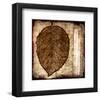 Fall Leaves I-Christine Zalewski-Framed Art Print