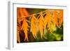 Fall Leaves IV-Erin Berzel-Framed Photographic Print