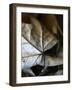 Fall Leaves IV-Nicole Katano-Framed Photo