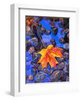 Fall leaves on black rocks in water-null-Framed Photographic Print