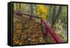 Fall Leaves on Fall Fork of Clifty Creek Near Newbern, Indiana-Chuck Haney-Framed Stretched Canvas