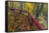 Fall Leaves on Fall Fork of Clifty Creek Near Newbern, Indiana-Chuck Haney-Framed Stretched Canvas