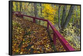 Fall Leaves on Fall Fork of Clifty Creek Near Newbern, Indiana-Chuck Haney-Framed Photographic Print