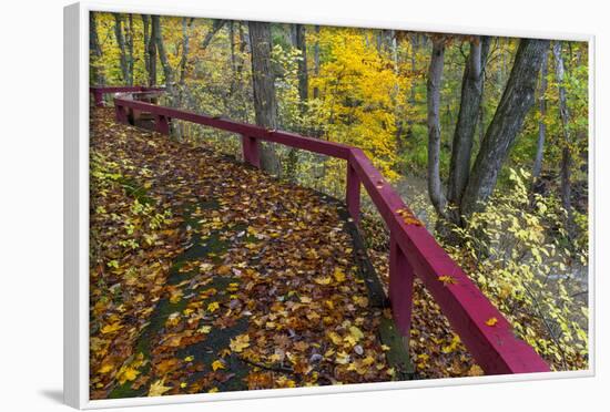 Fall Leaves on Fall Fork of Clifty Creek Near Newbern, Indiana-Chuck Haney-Framed Photographic Print