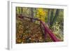 Fall Leaves on Fall Fork of Clifty Creek Near Newbern, Indiana-Chuck Haney-Framed Photographic Print