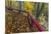 Fall Leaves on Fall Fork of Clifty Creek Near Newbern, Indiana-Chuck Haney-Mounted Photographic Print