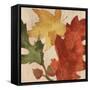 Fall Leaves Square 2-Kimberly Allen-Framed Stretched Canvas